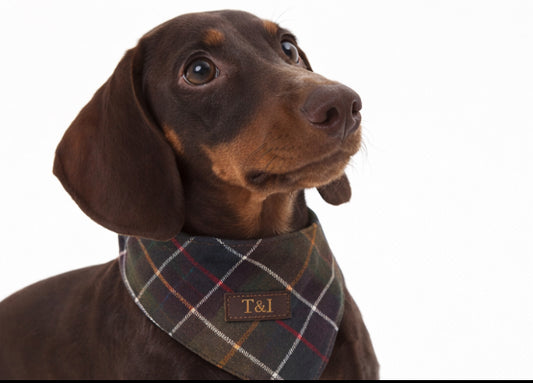 Pañuelo Classic Tartan · Sand & Ink