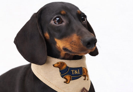 Classic Tartan · Oxford Navy