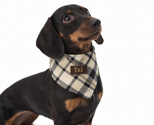 Classic Tartan · Oxford Sand