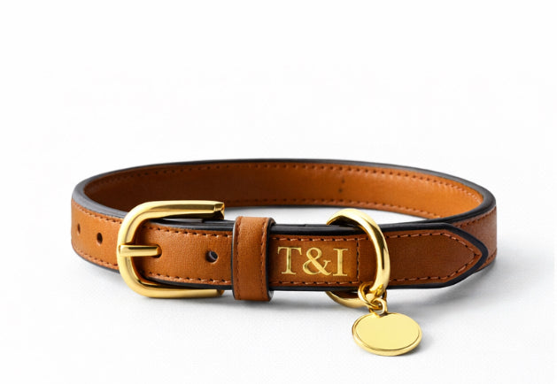 The Leather Heritage Collar