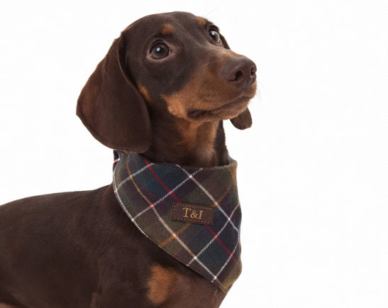 Pañuelo Classic Tartan · Sand & Ink