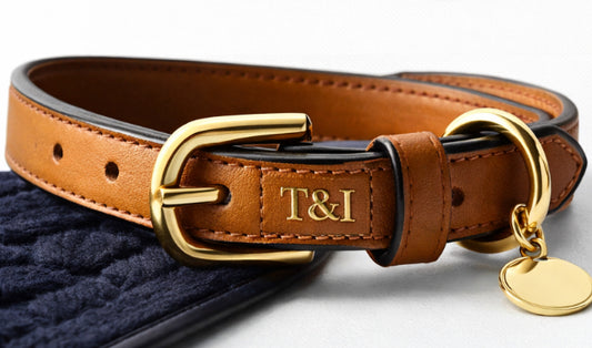 The Leather Heritage Collar