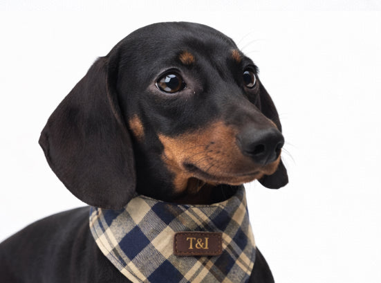 Classic Tartan · Cambridge Navy